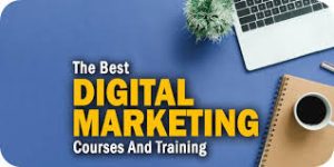 digital marketing course